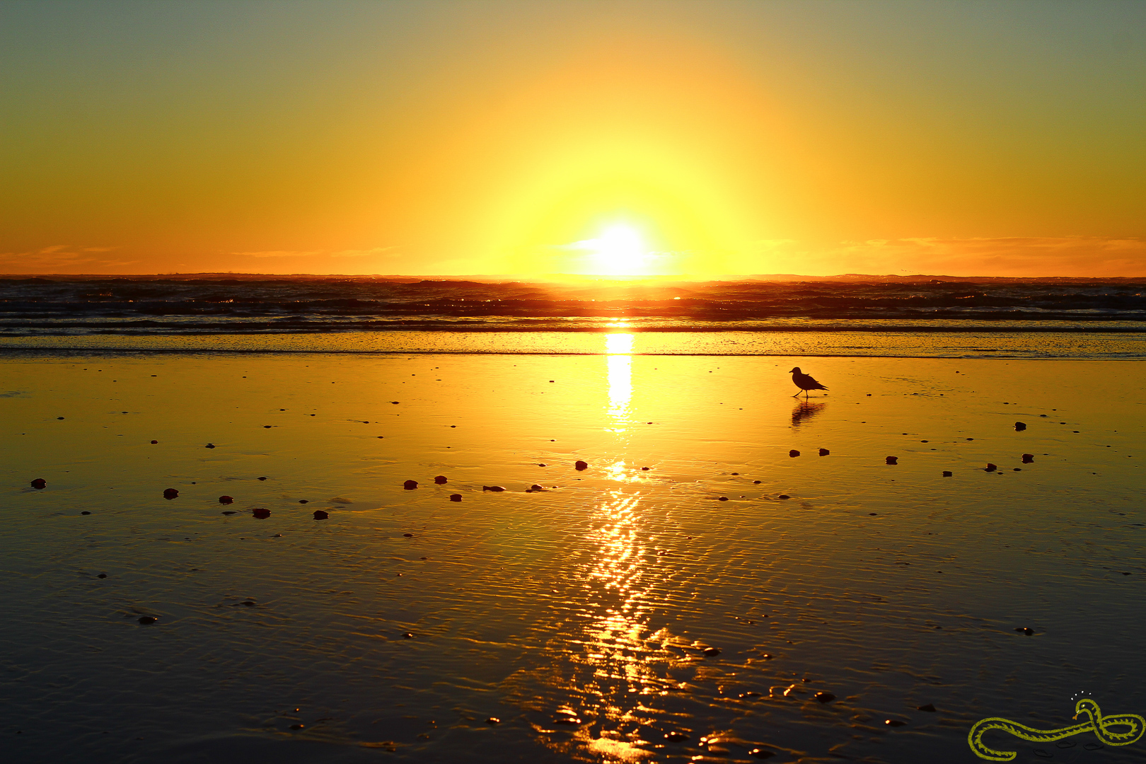 Sumner Beach, New Zealand