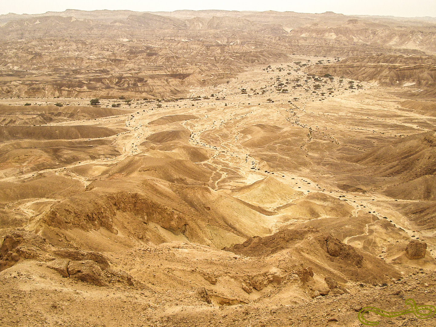 Púšť Arava, Izrael