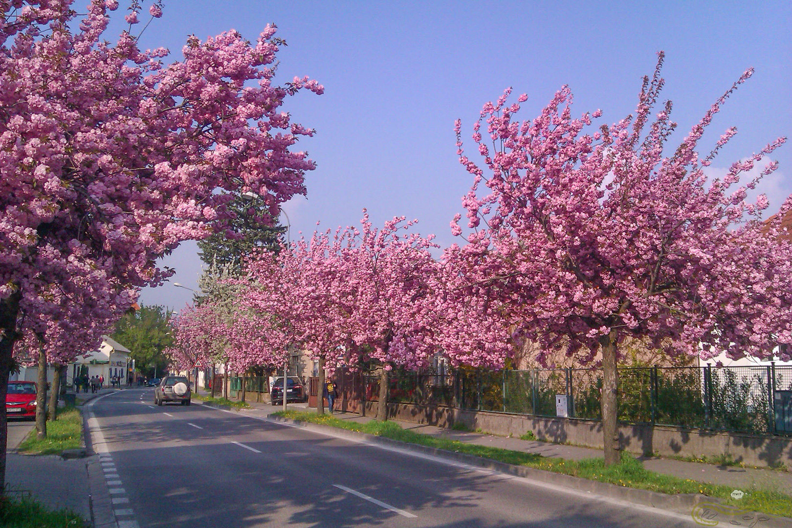 Nitra, Slovensko